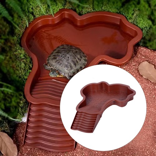 Large reptile water - reptile,