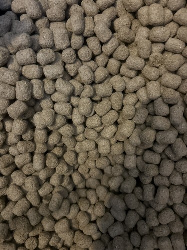 Mazur leading brand tortoise - brand,