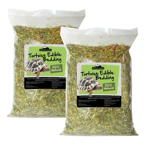 Reptile world tortoise edible - reptile,