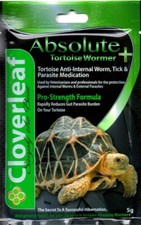 Cloverleaf Absolute Tortoise