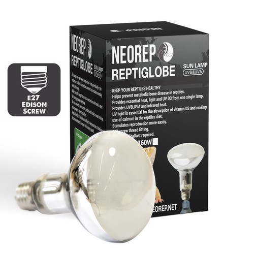 Neorep tortoise reptile - tortoise,