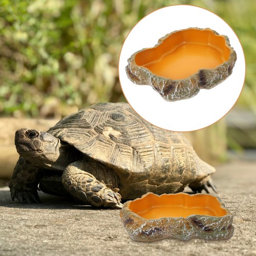 Durable resin reptile feeding - durable,