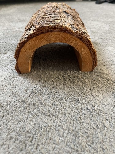 Zoo med reptile tortoise - zoo,