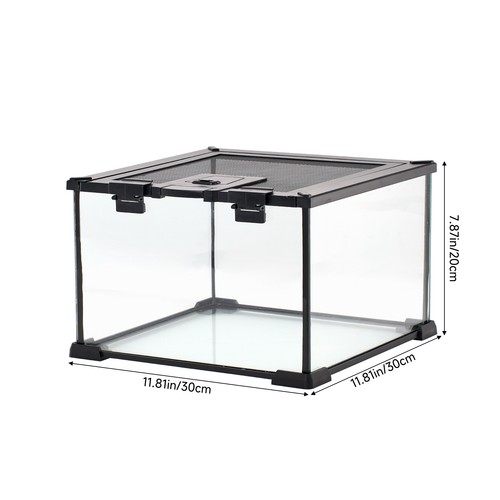 Glass reptile terrarium - glass,
