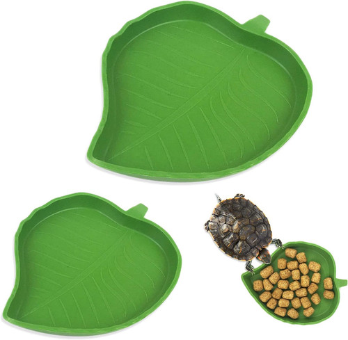 Pieces reptile food water - 2,