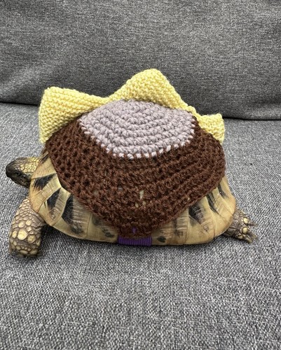 Jumper for tortoise - for, tortoise/