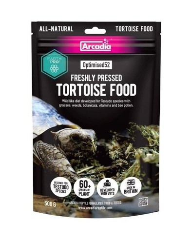 Arcadia optimised52 tortoise - arcadia,