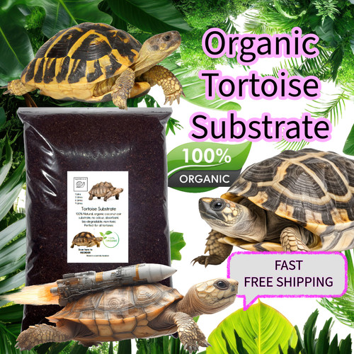 Tortoise habitat soil - tortoise,