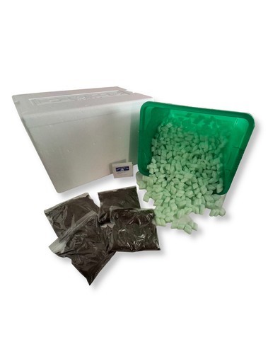 Tortoise hibernation box - hibernation,