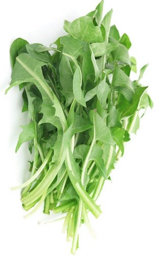 Only 80g fresh dandelion - only,