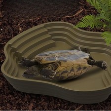 Reptile Bathing Pool Tortoise