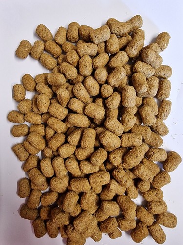 Mazuri tortoise food 1kg - tortoise,