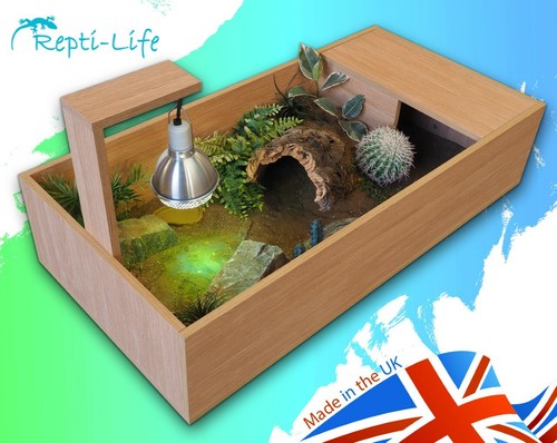 Repti life tortoise - repti-life,
