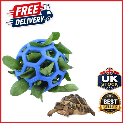 Tortoise turtle foraging toy - turtle,