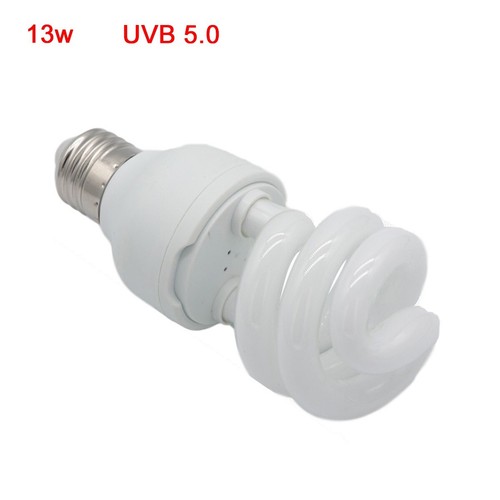 Pet screw bulb - plant, reptile