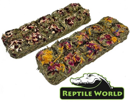 Reptile world tortoise treat - reptile,