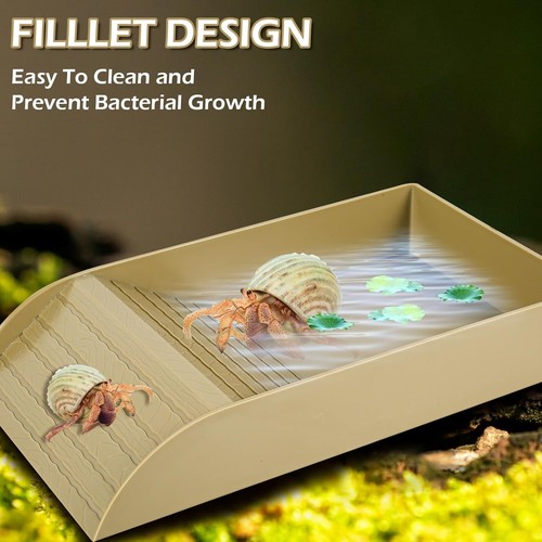 Tortoise water dish - dish,,