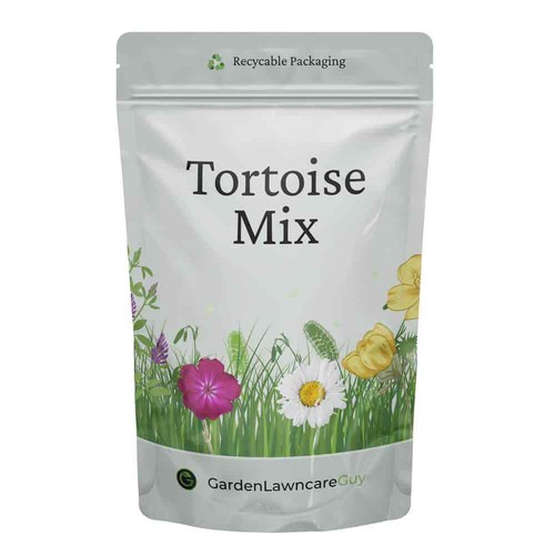 Tortoise forage seed - forage,
