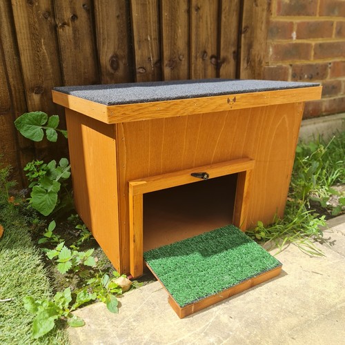 Small outdoor tortoise house - tortoise,
