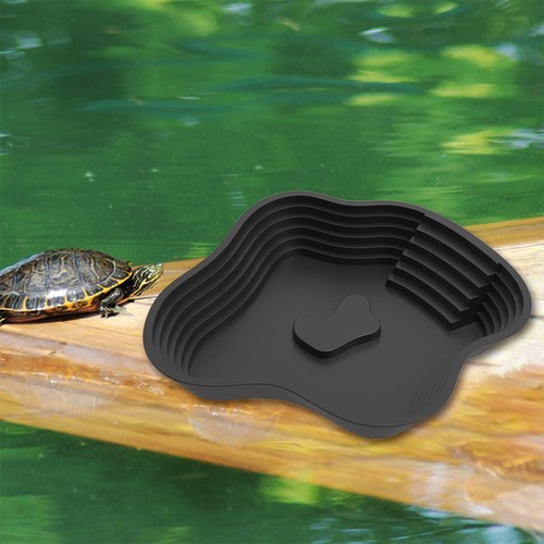 Tortoise water bowl - tortoise,