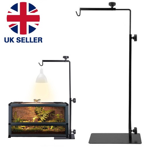 Tortoise table light - table,