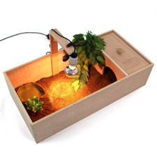 Tortoise Table Small Pet