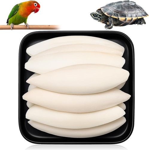 9pcs cuttlefish for birds and - for,