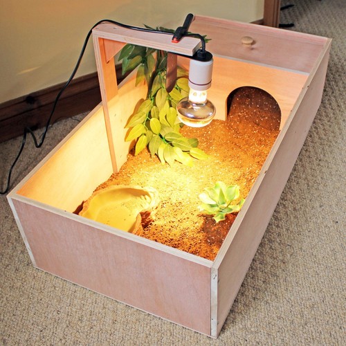 Tortoise table small - small, pet