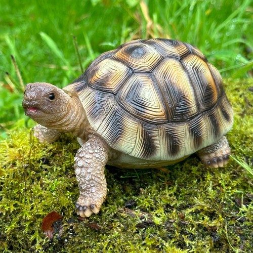 Tortoise ornament figurine