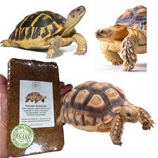 Tortoise Soil, Vivarium