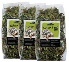 Reptile World Tortoise Leaf