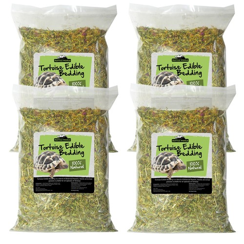 Reptile world tortoise edible - world,