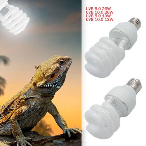 Reptile pet plant screw bulb - reptile,