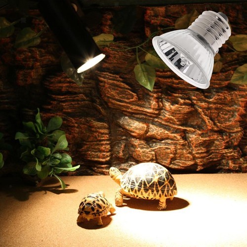 Uva uvb reptile heat - reptile, basking