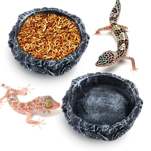 Pack reptile water - water, bowl