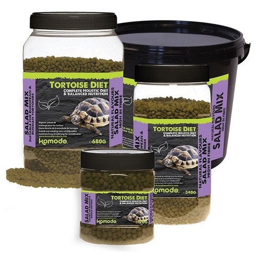 Komodo tortoise food holistic - tortoise,