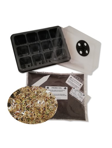 Grow your own tortoise - own, food
