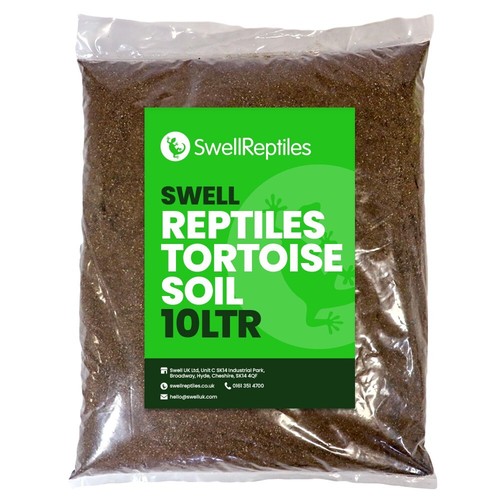 Swell reptile tortoise - |, soil
