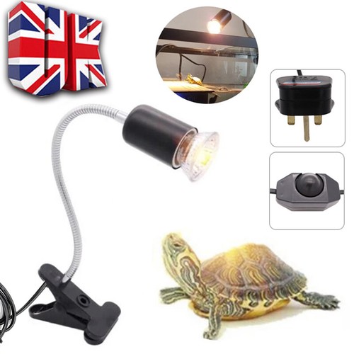 Reptile heat light bulb - reptile,