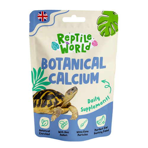 Reptile world 100g tortoise - reptile,