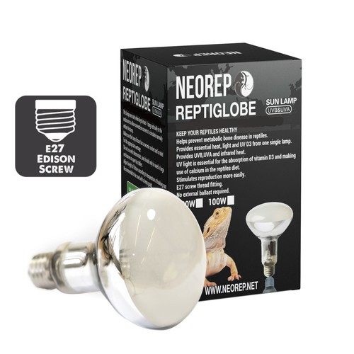 Neorep tortoise reptile - neorep,