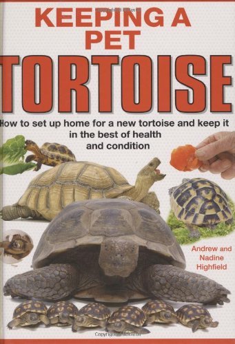 Keeping pet tortoise a c - a,