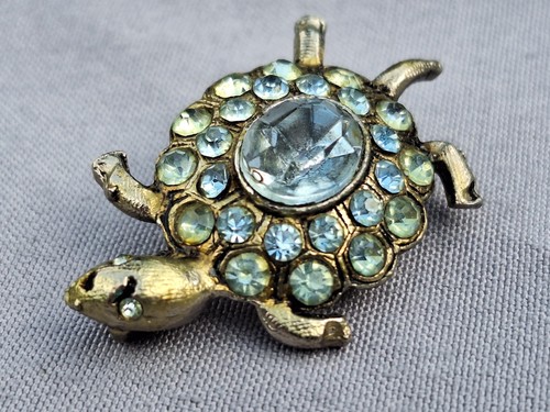 Blue stone turtle tortoise - blue,