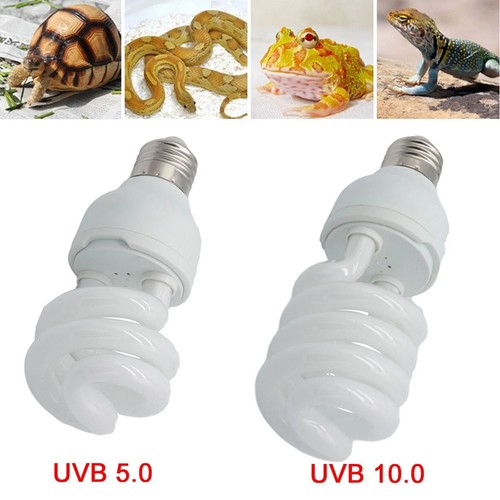 Pet screw bulb - screw, reptile