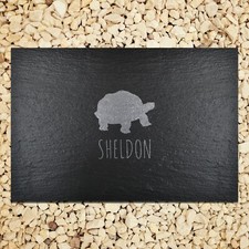 Personalised Tortoise Feeding